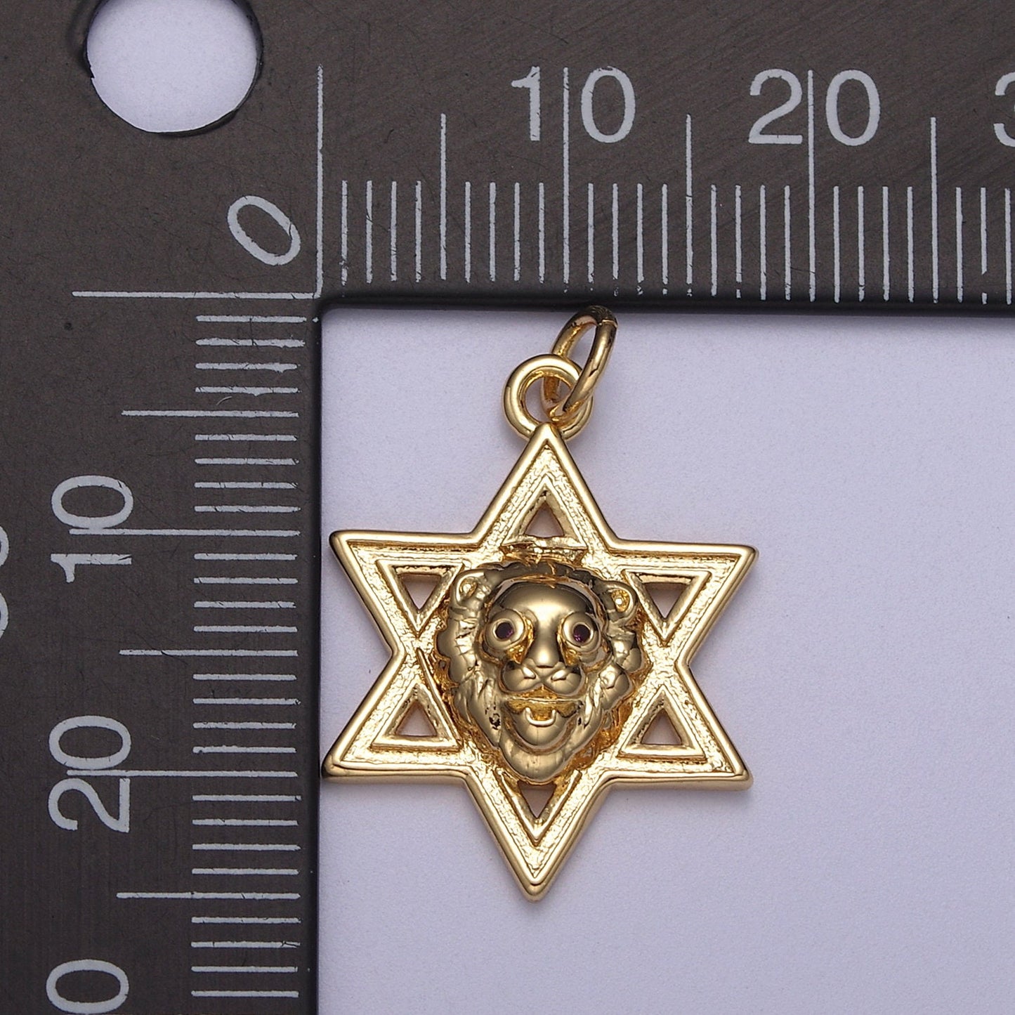 Gold Star of David Lion of Judah Pendant, Solid Magen David Jewish Star Jewelry N-340