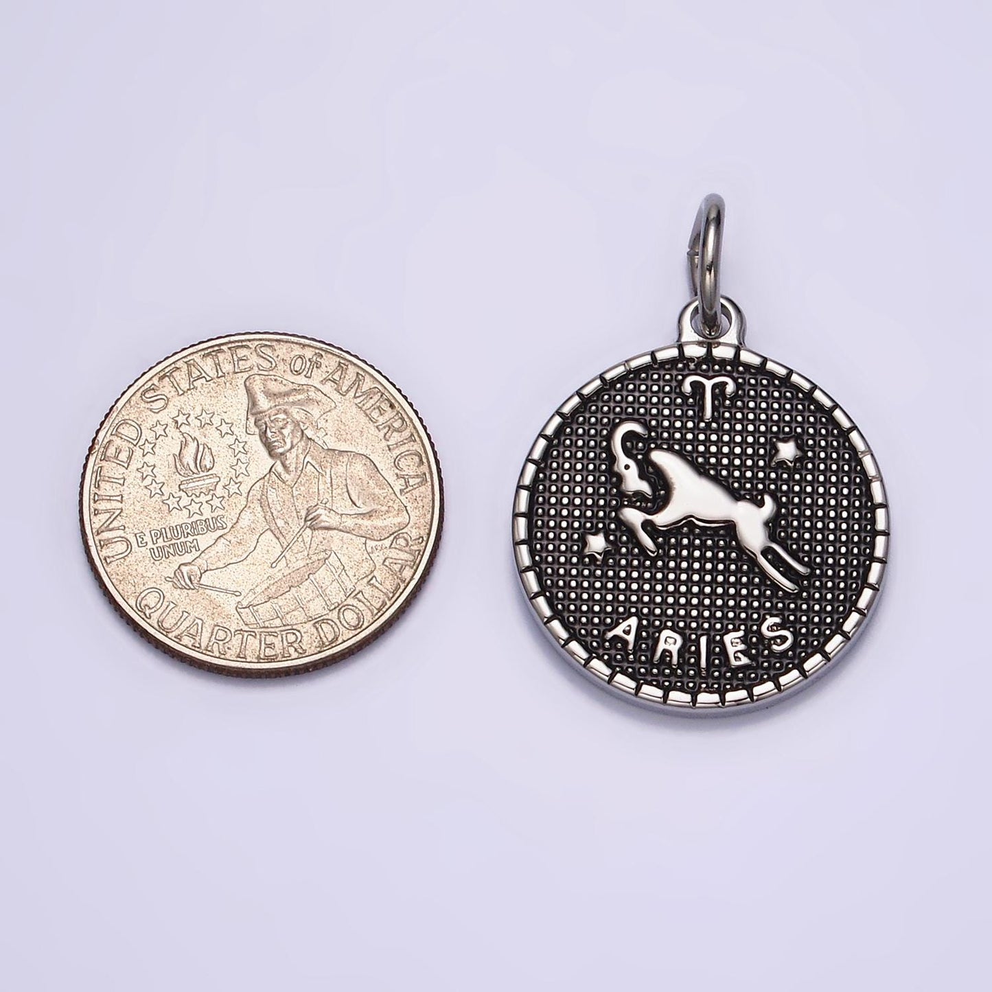 Coin Medallion Zodiac Pendants Stainless Steel Silver Astrological Birthday Zodiac Sign Charms | A1229