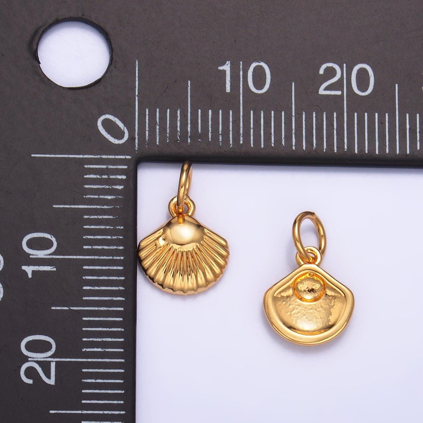 24k gold filled 8.5mm sea shell line-textured add-on charm | w326