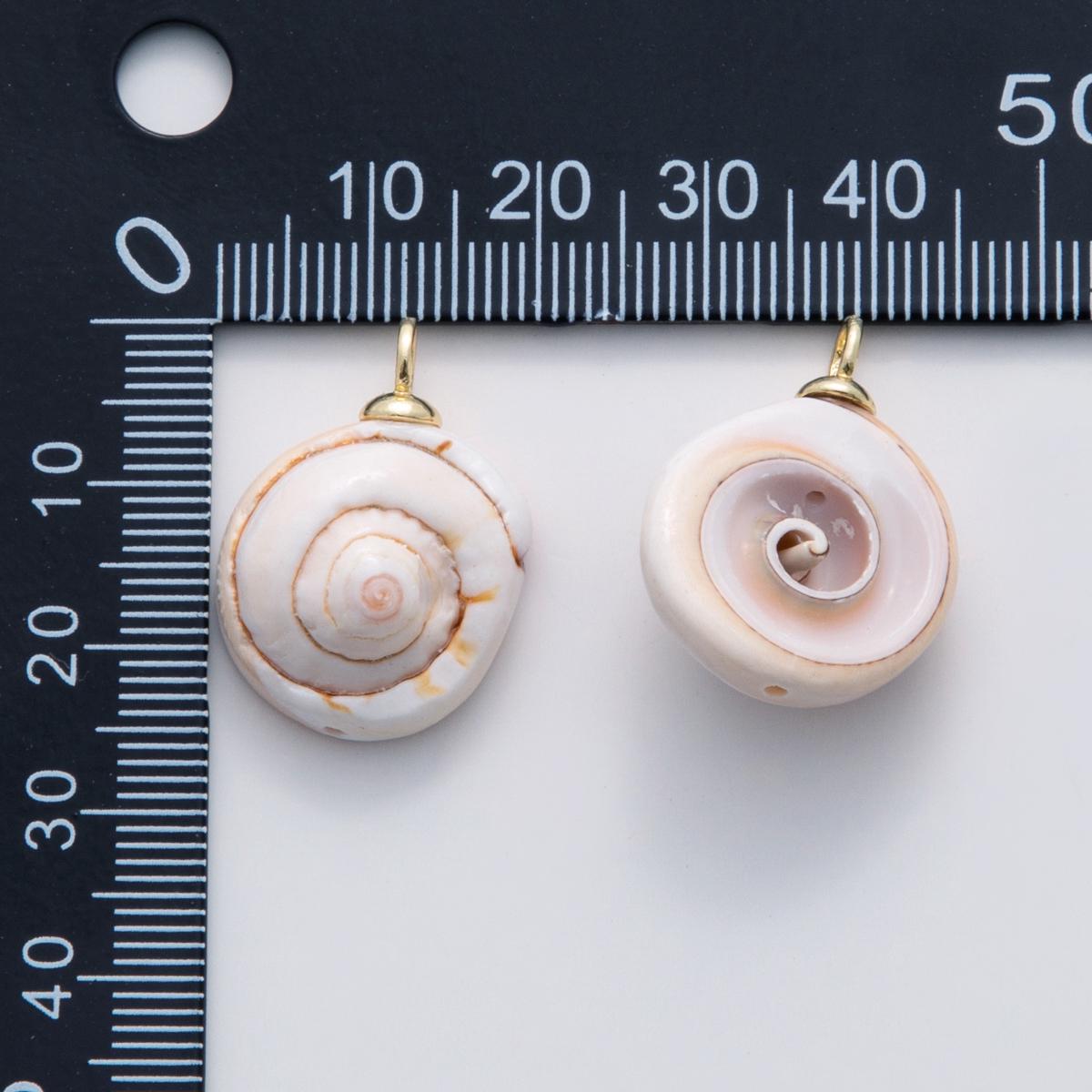 Shiva Eye Shell Pendant, Natural Operculum Cat’s Eye Charm, Gold Filled Beach Jewelry, Spiral Shell Pendant DIY Jewelry Making x-671