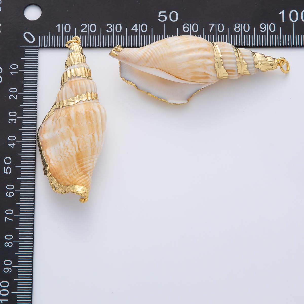 67mm Shell Pearl Sea Conch Shell Charm | AF1405
