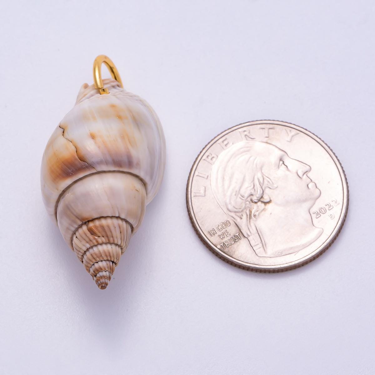 18K Gold Filled 34mm Natural Conch Sea Shell Charm Summer Jewelry Pendant DIY Supply for Custom Necklace and Bracelet | CHARMS-00555