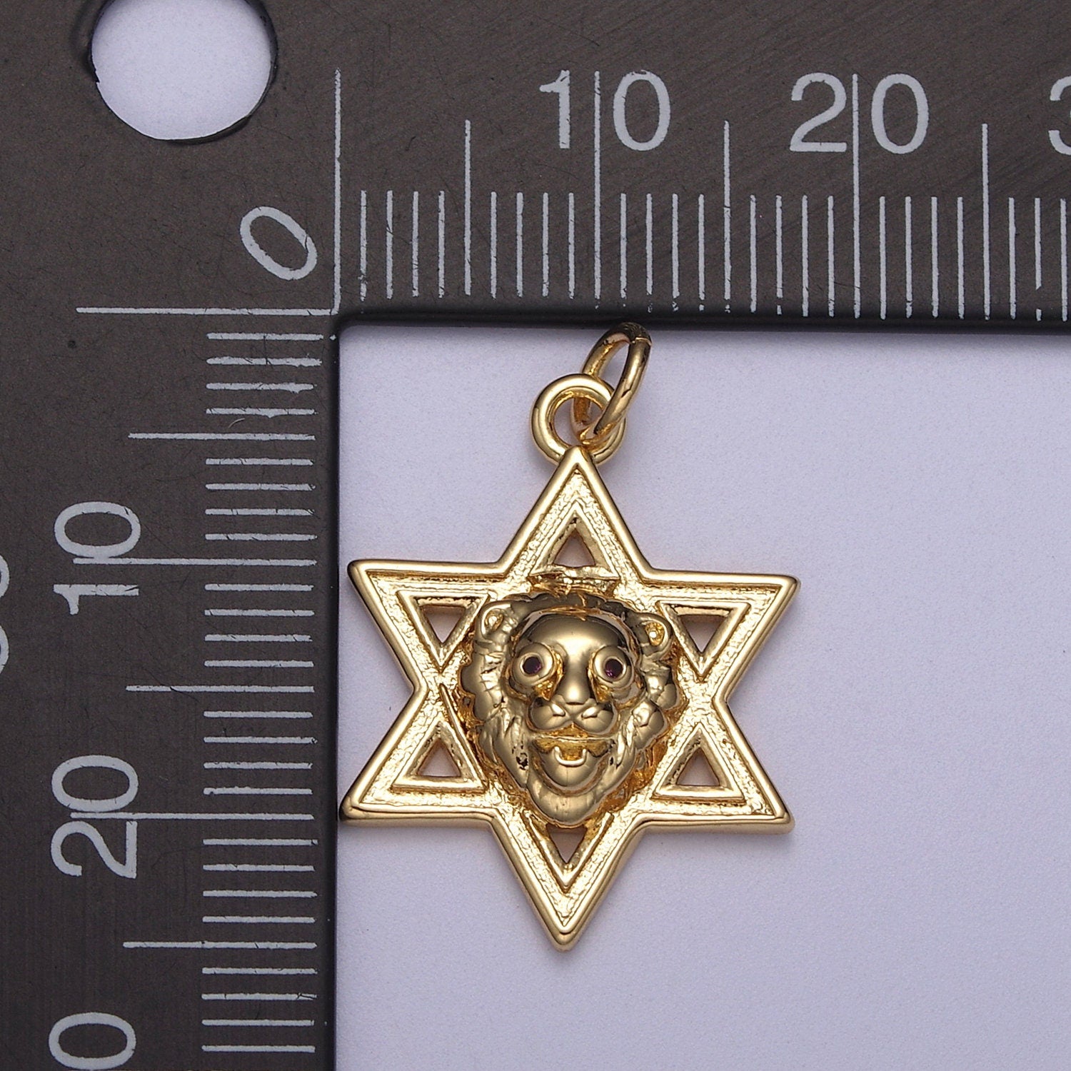 Gold Star of David Lion of Judah Pendant, Solid Magen David Jewish Star Jewelry N-340