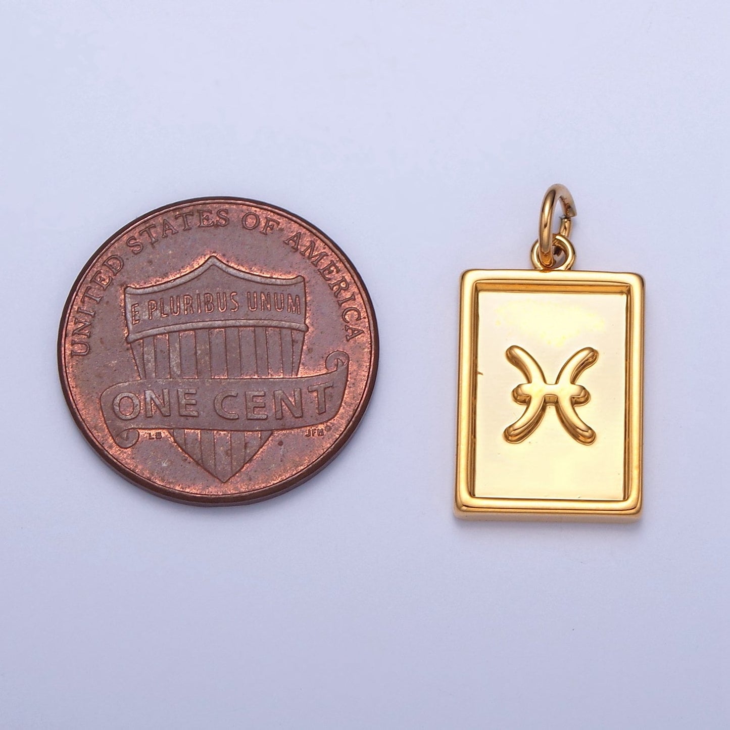Small Rectangular Zodiac Charms 24k Gold-Filled Astrological Zodiac Signs, Zodiac Symbols, Birthday, Add on Horoscope Charm A1427-A1432