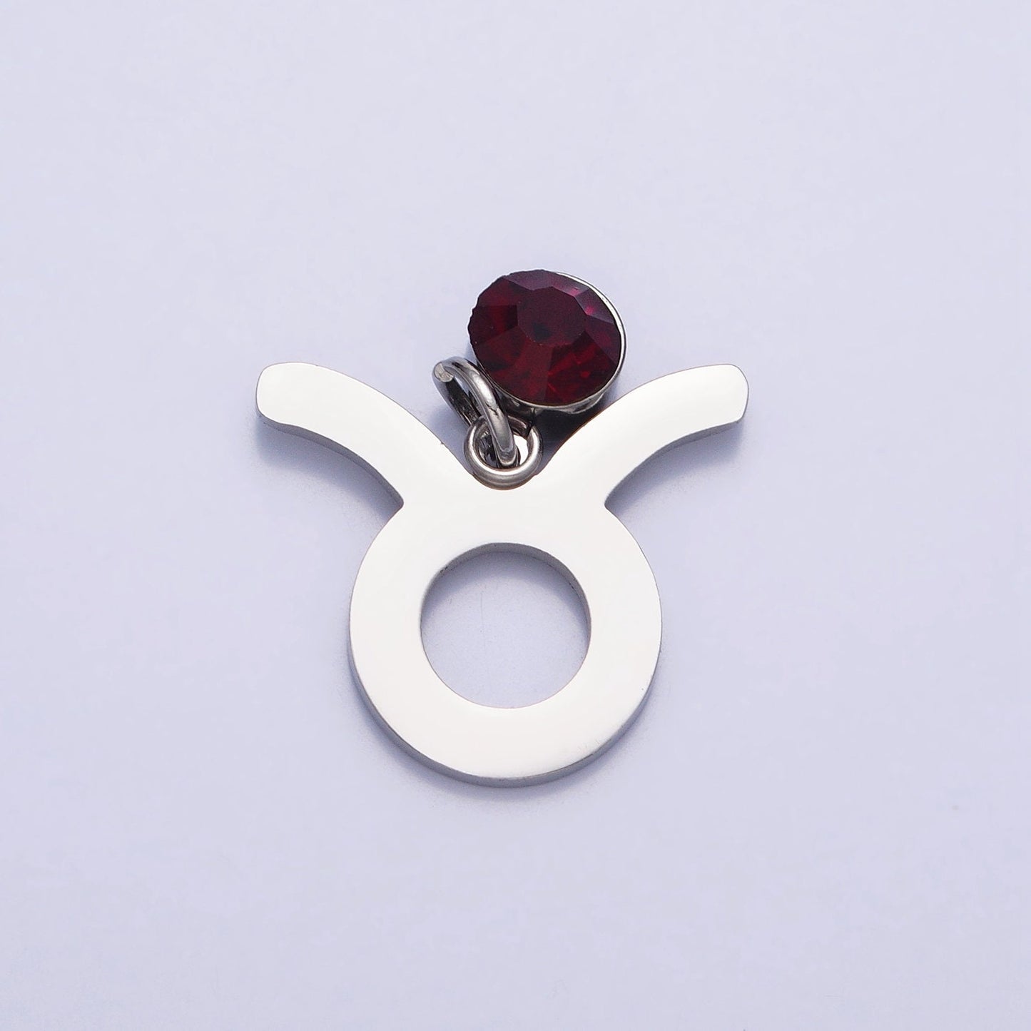 Add on Small Stainless Steel Zodiac Charms Birthstone CZ Astrological Zodiac Signs Symbols, Birthday Personalized Horoscope Charm