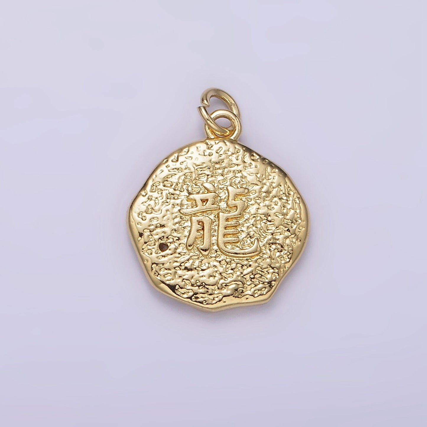 14K Gold Filled CZ Dragon Animal Hammered Abstract Round Charm | AG726