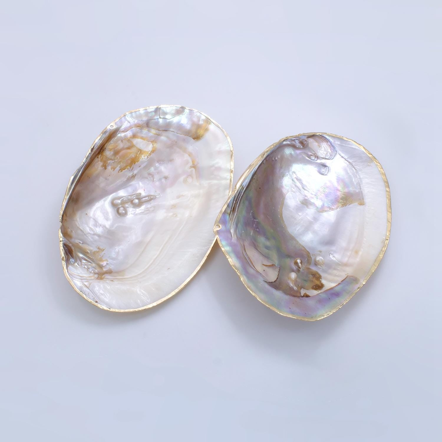 One of a Kind Decorative Giant Shell Dish Mother of Pearl Jewelry Tray Seashell Dish for Mix Bar Charm Jewelry Supply Booth Decoration P1894