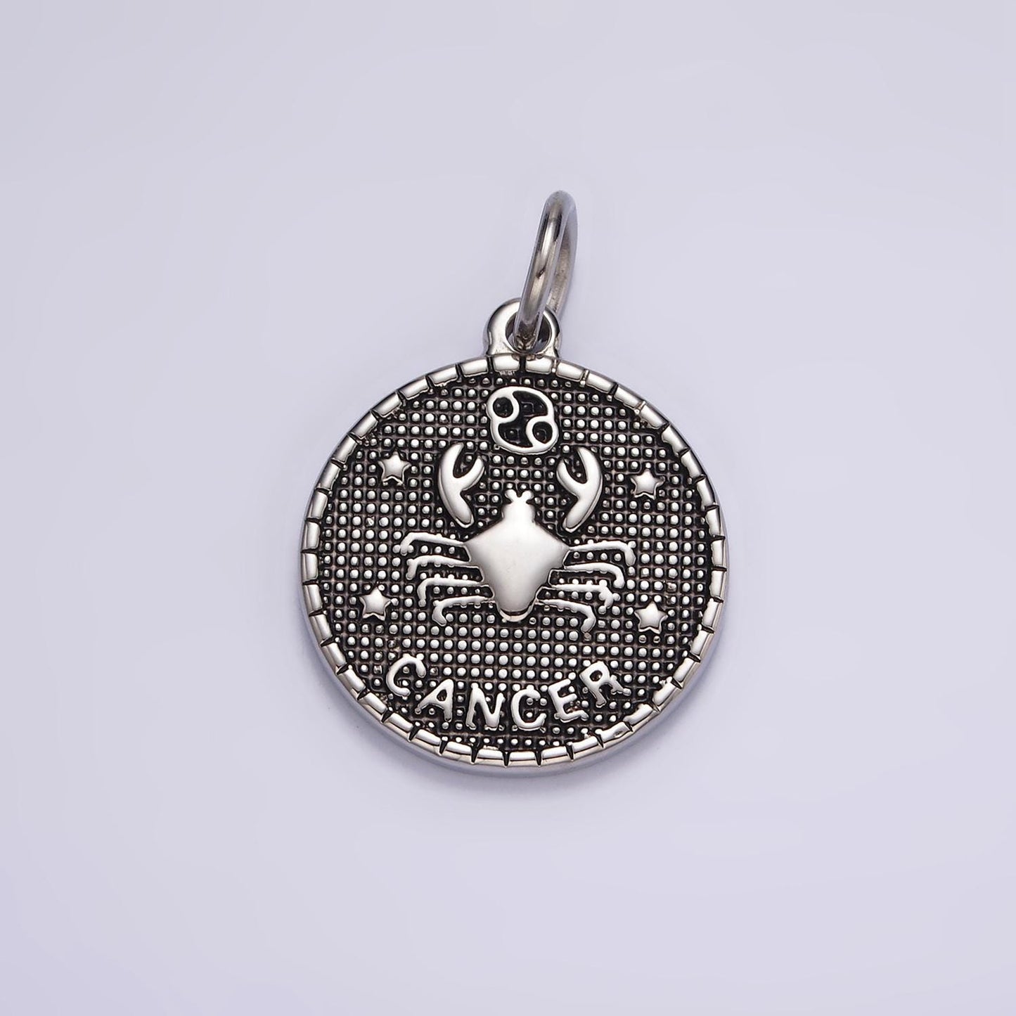 Coin Medallion Zodiac Pendants Stainless Steel Silver Astrological Birthday Zodiac Sign Charms | A1229