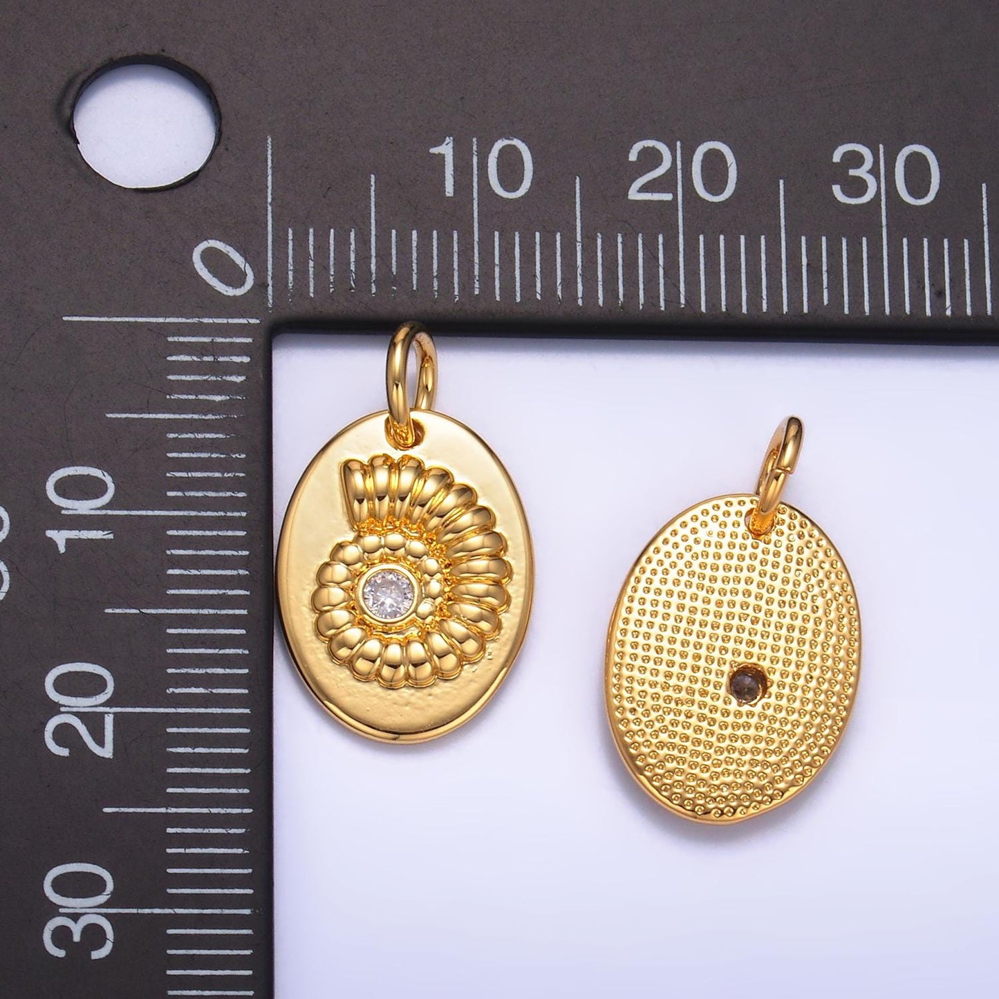 Oval Ammonoidea fossil Charm extinct marine mollusk animal Ammonoidea fossil spiral Jurassic Cretaceous earth history Jewelry Inspired W320
