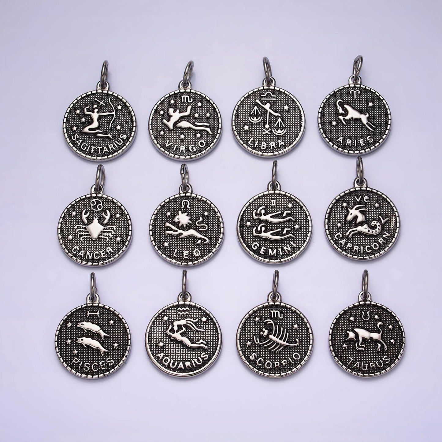 Coin Medallion Zodiac Pendants Stainless Steel Silver Astrological Birthday Zodiac Sign Charms | A1229