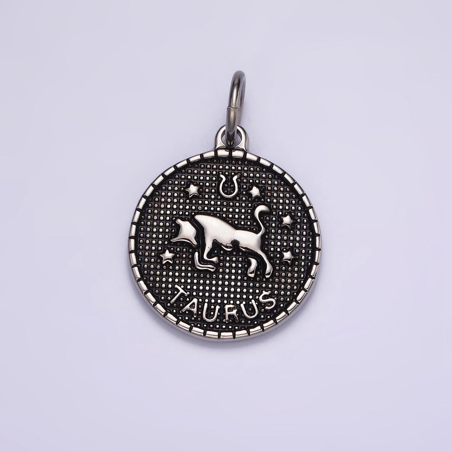Coin Medallion Zodiac Pendants Stainless Steel Silver Astrological Birthday Zodiac Sign Charms | A1229