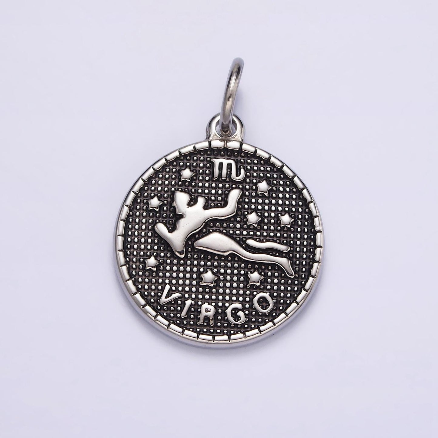 Coin Medallion Zodiac Pendants Stainless Steel Silver Astrological Birthday Zodiac Sign Charms | A1229