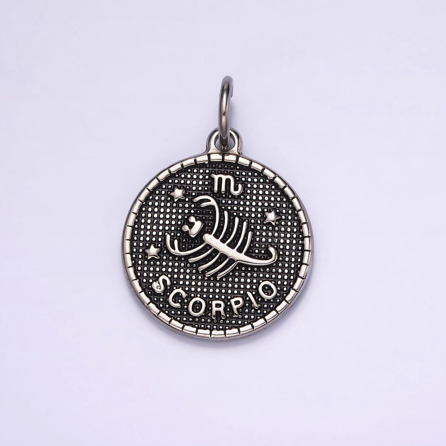 Coin Medallion Zodiac Pendants Stainless Steel Silver Astrological Birthday Zodiac Sign Charms | A1229