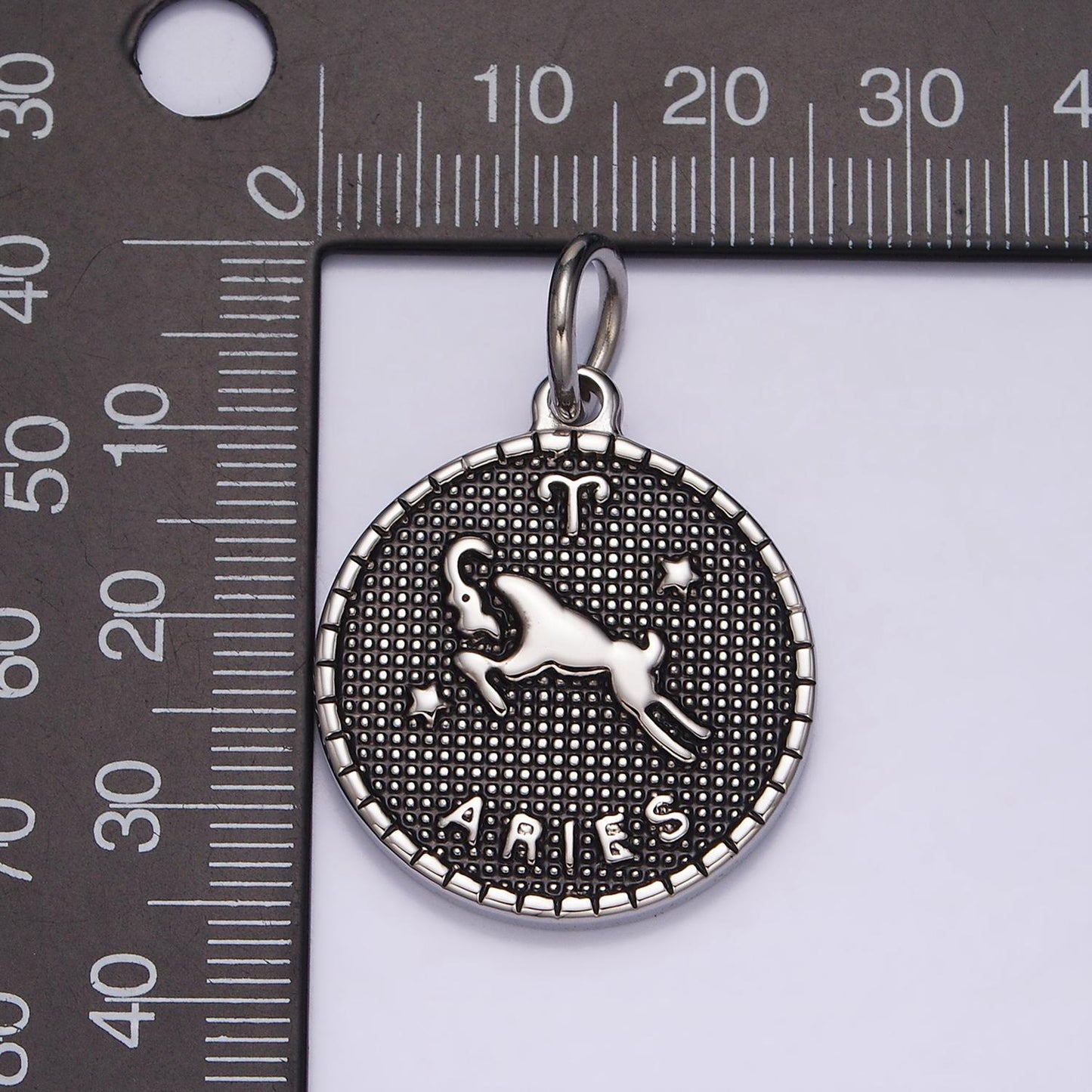 Coin Medallion Zodiac Pendants Stainless Steel Silver Astrological Birthday Zodiac Sign Charms | A1229