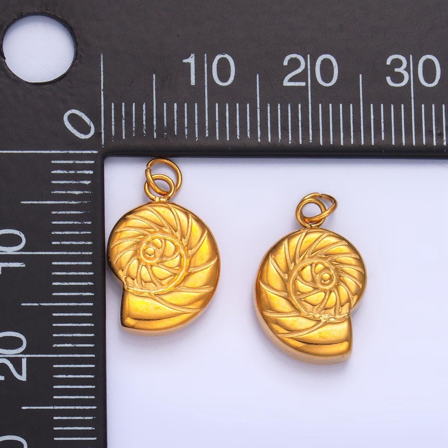 Line textured ocean sea shell 24k gold filled minimalist stainless steel charm | p-1219