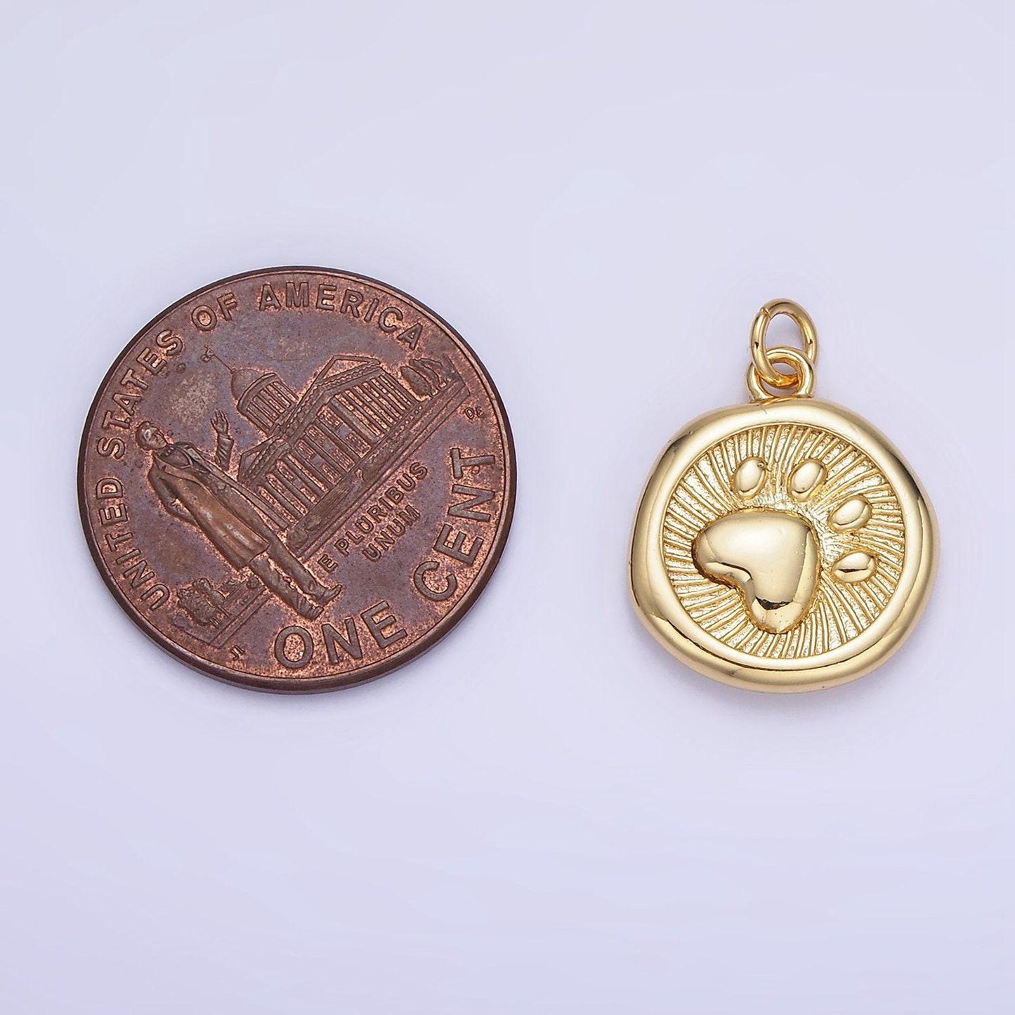 14k gold filled coin charm with paw print gold & silver| ag-639