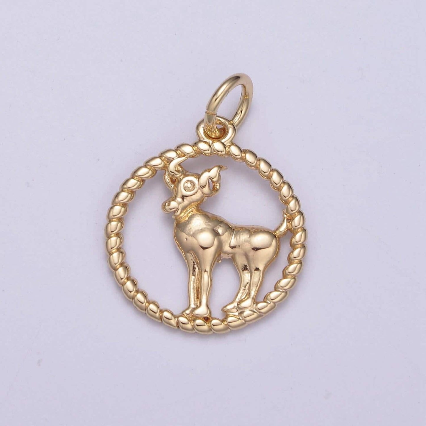 Dainty zodiac charm horoscope with decorated rope edge medallion charm astrology sign for necklace
