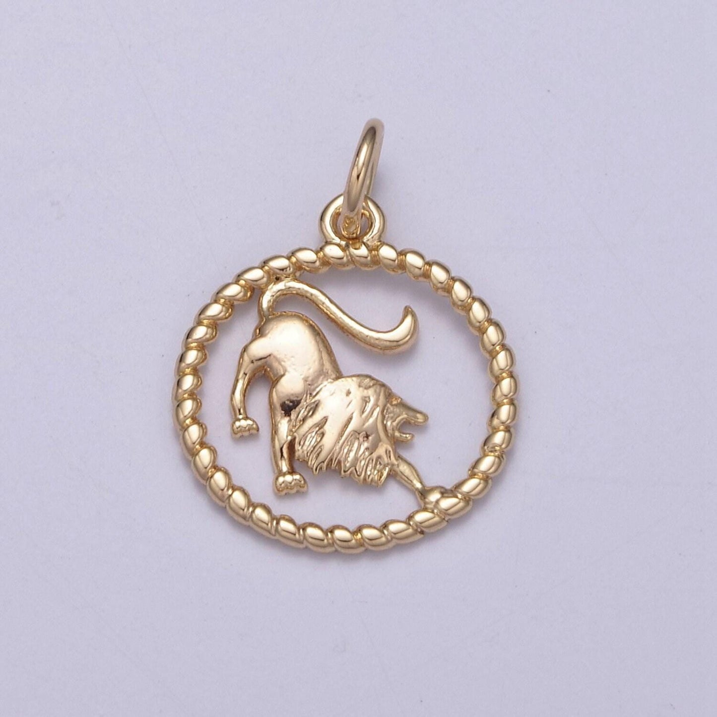 Dainty zodiac charm horoscope with decorated rope edge medallion charm astrology sign for necklace