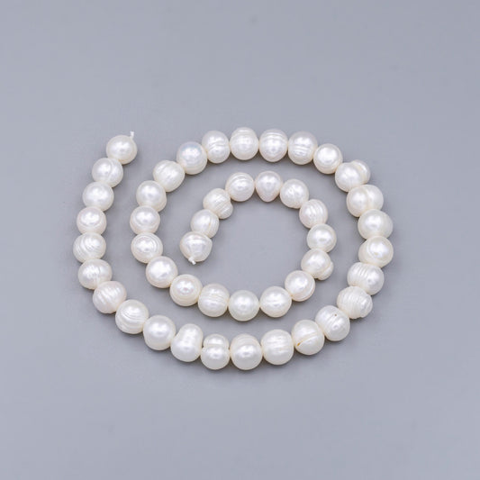 Fresh water pearl 8.5mm aaa white round button pearl strand for jewelry making | wa-1658
