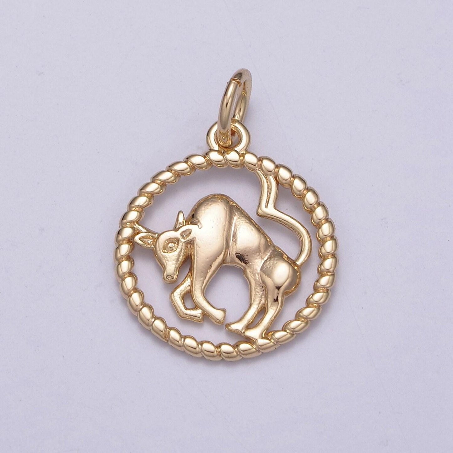 Dainty zodiac charm horoscope with decorated rope edge medallion charm astrology sign for necklace