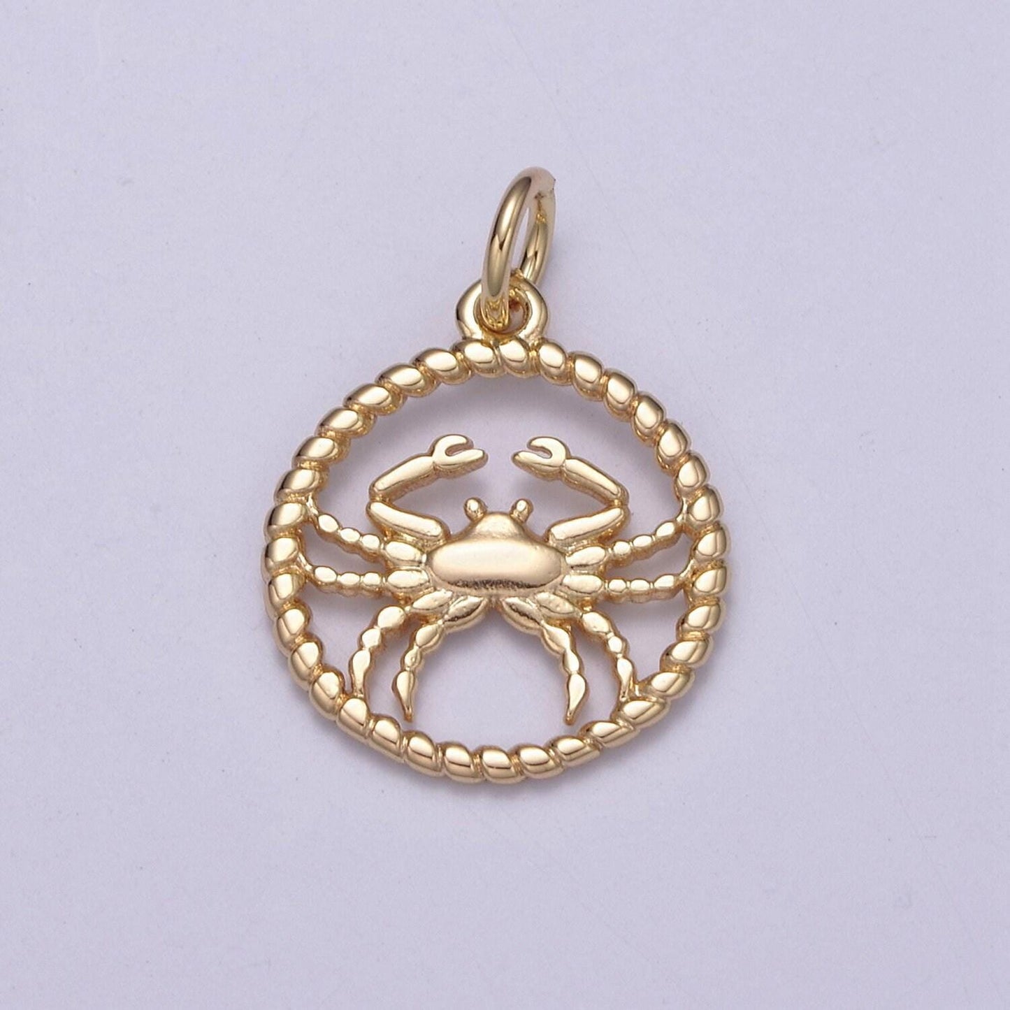Dainty zodiac charm horoscope with decorated rope edge medallion charm astrology sign for necklace