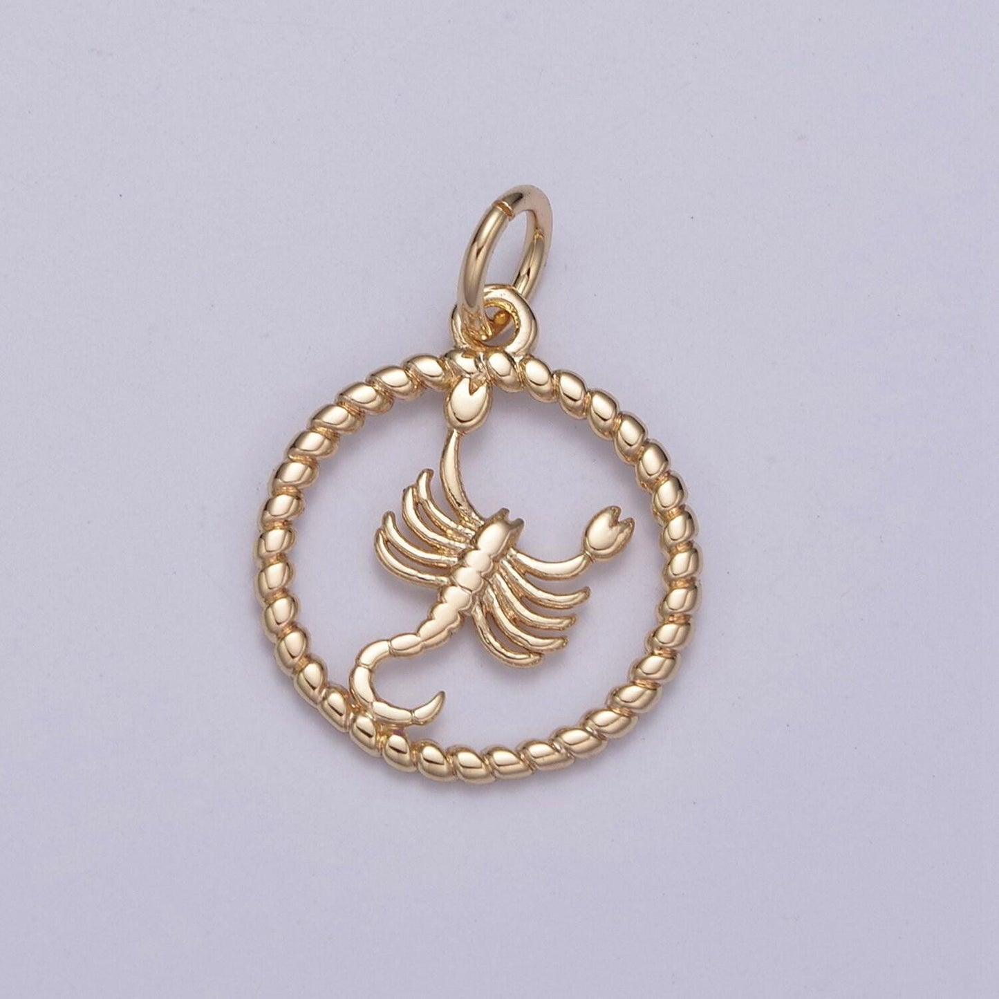 Dainty zodiac charm horoscope with decorated rope edge medallion charm astrology sign for necklace
