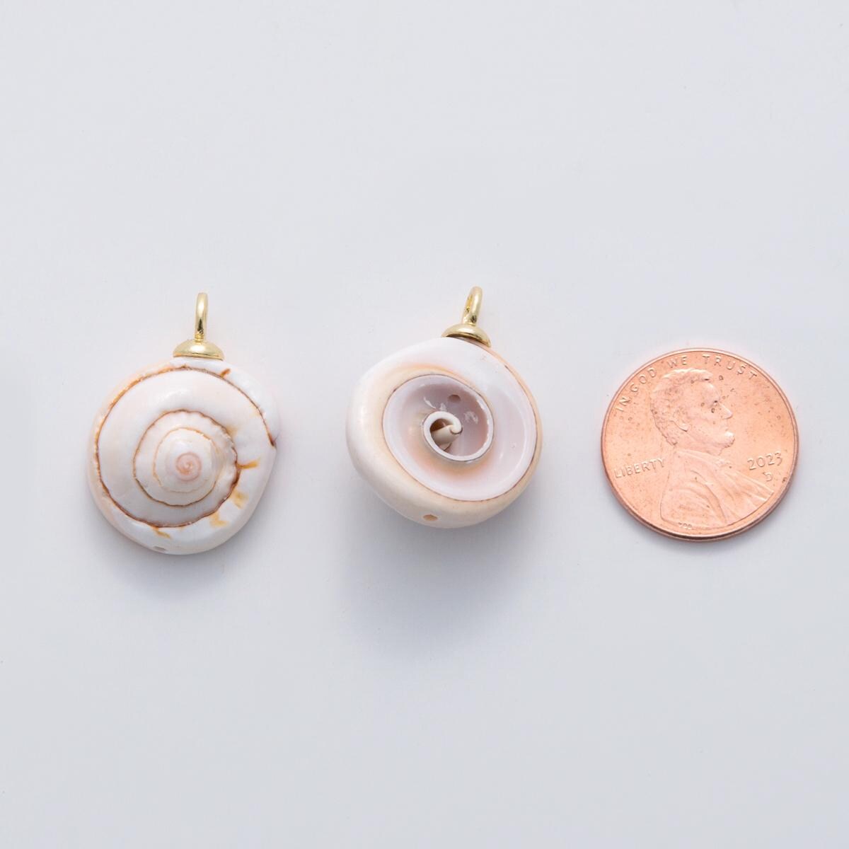 Shiva Eye Shell Pendant, Natural Operculum Cat’s Eye Charm, Gold Filled Beach Jewelry, Spiral Shell Pendant DIY Jewelry Making x-671