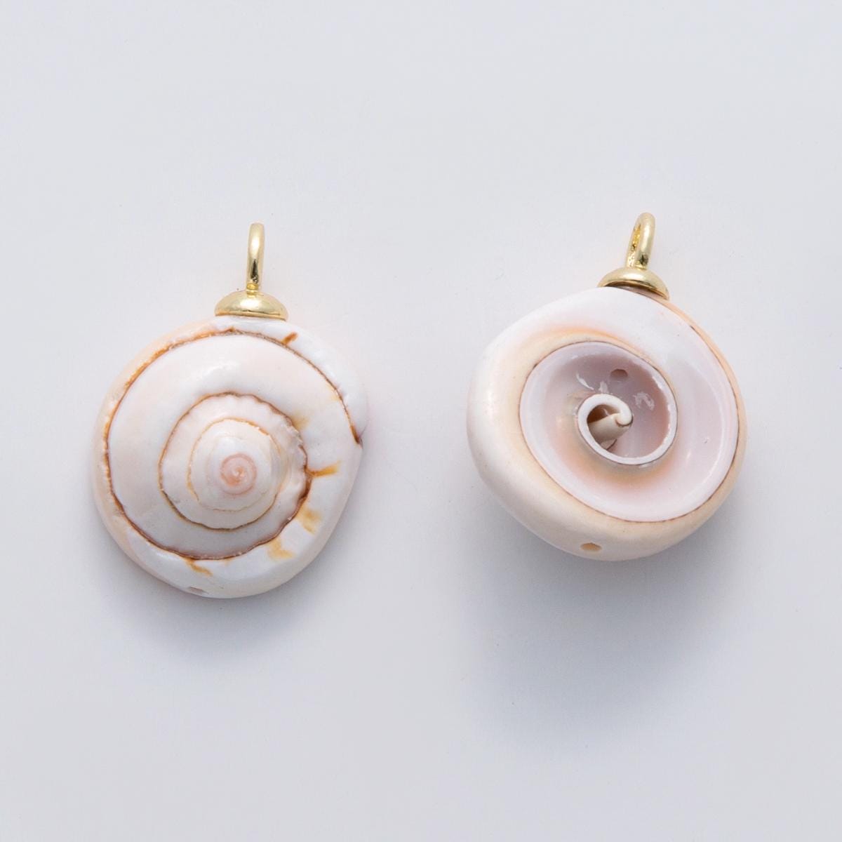 Shiva Eye Shell Pendant, Natural Operculum Cat’s Eye Charm, Gold Filled Beach Jewelry, Spiral Shell Pendant DIY Jewelry Making x-671