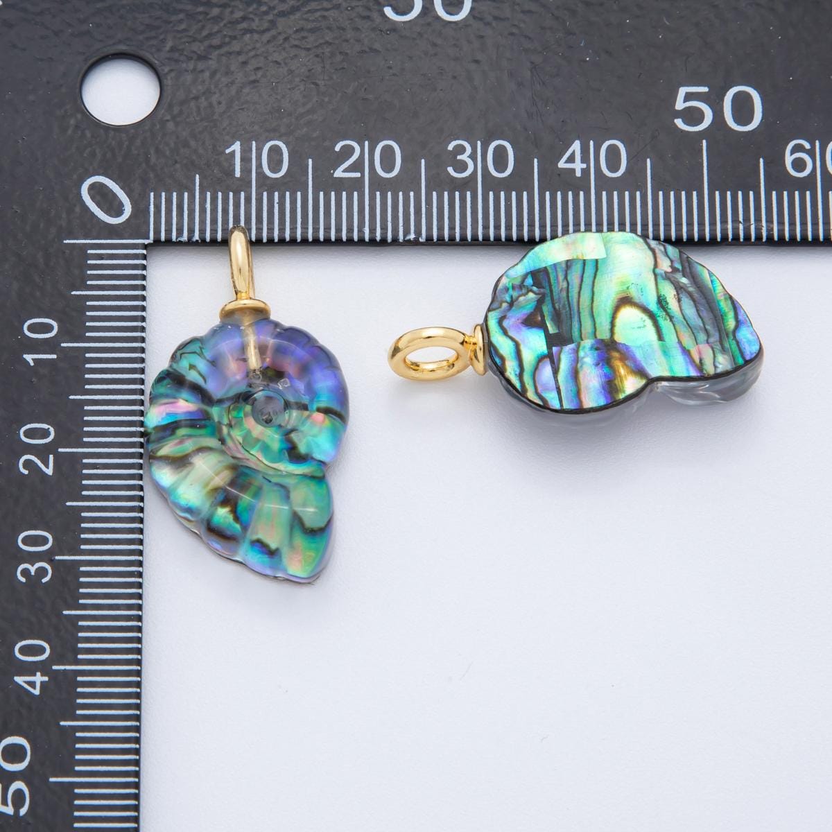 Natural Abalone Carved Amanite charms Ammonite Shell Dangle Charm Beach Under the Sea Jewelry Inspired AH-839