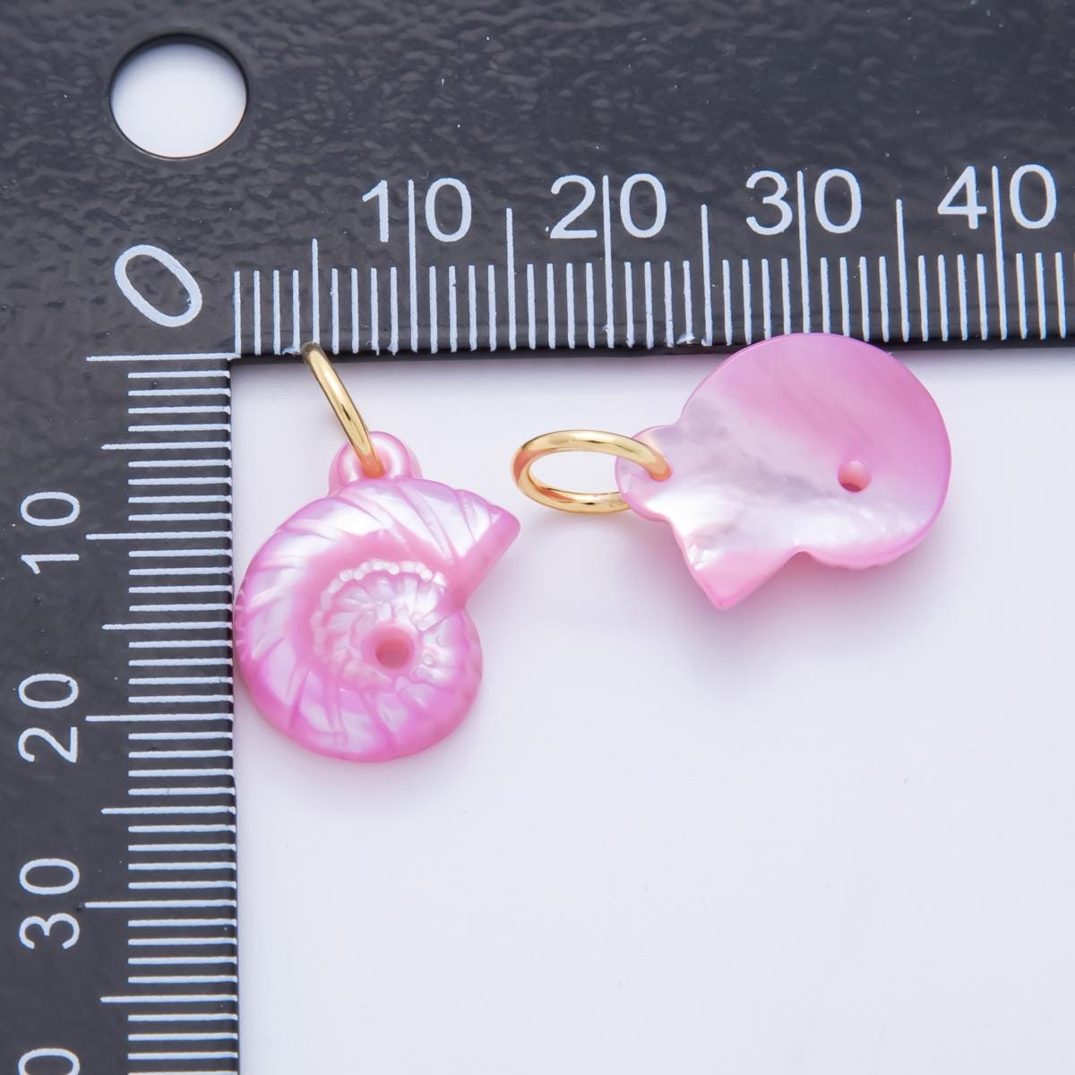 Colorful Dainty Shell Pearl Charm Amanite charms Ammonite Shell Dangle Charm Beach Under the Sea Jewelry Inspired AH-825