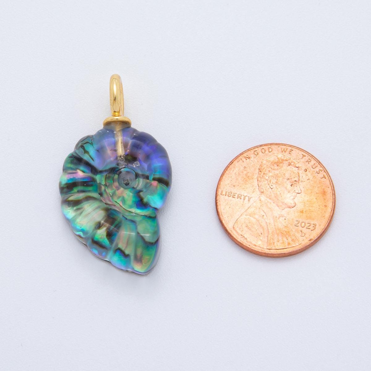 Natural Abalone Carved Amanite charms Ammonite Shell Dangle Charm Beach Under the Sea Jewelry Inspired AH-839