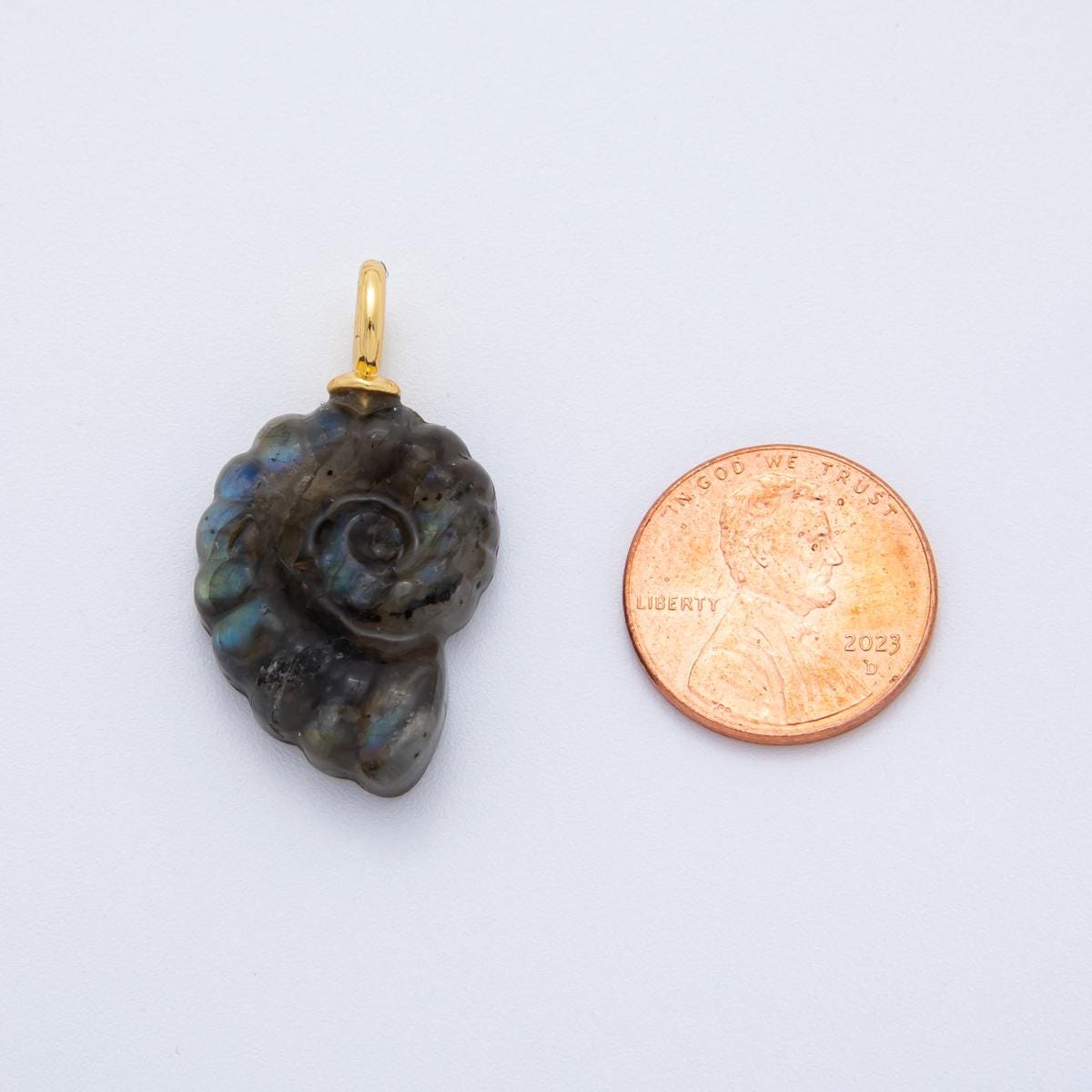 Natural Abalone Carved Amanite charms Ammonite Shell Dangle Charm Beach Under the Sea Jewelry Inspired AH-839