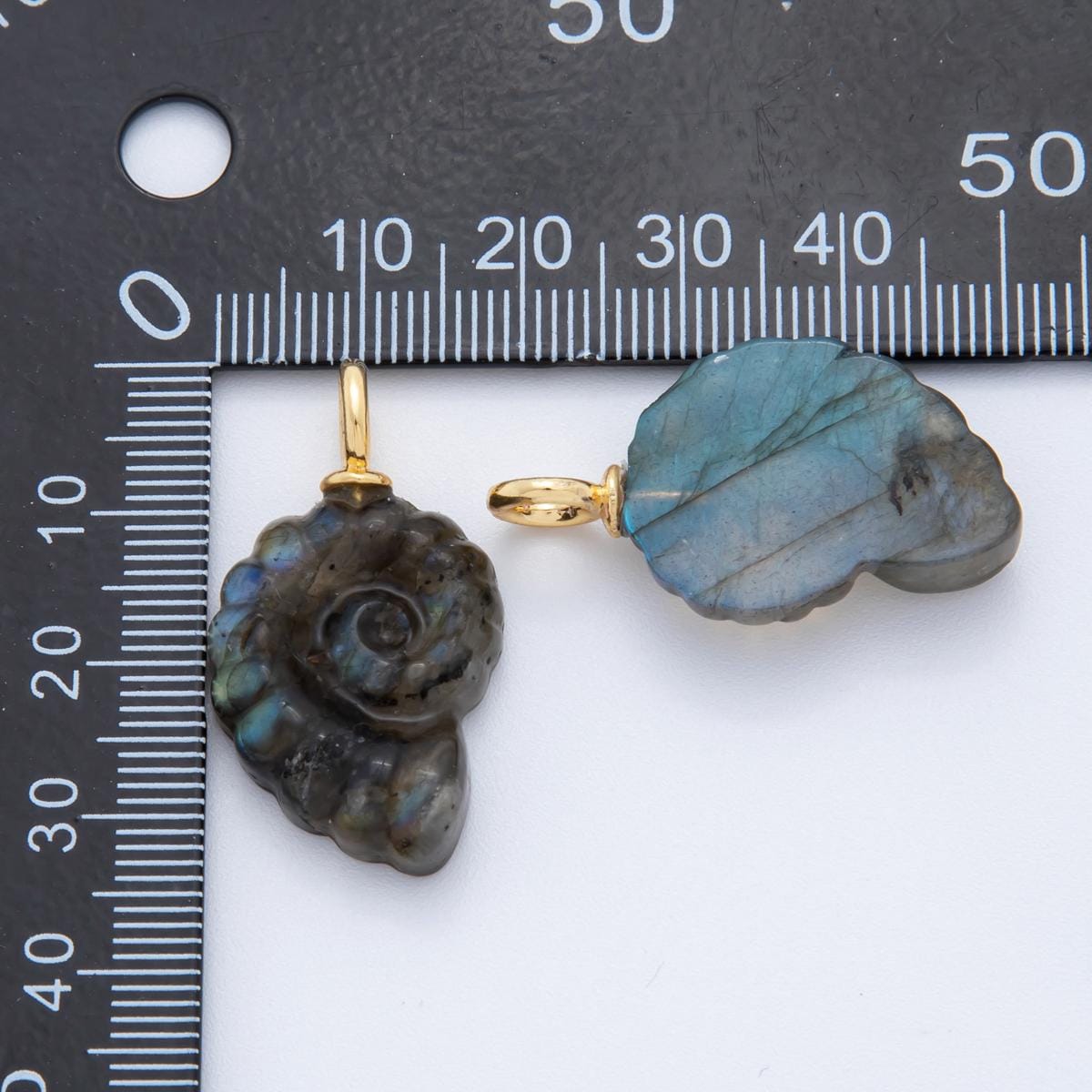 Natural Abalone Carved Amanite charms Ammonite Shell Dangle Charm Beach Under the Sea Jewelry Inspired AH-839