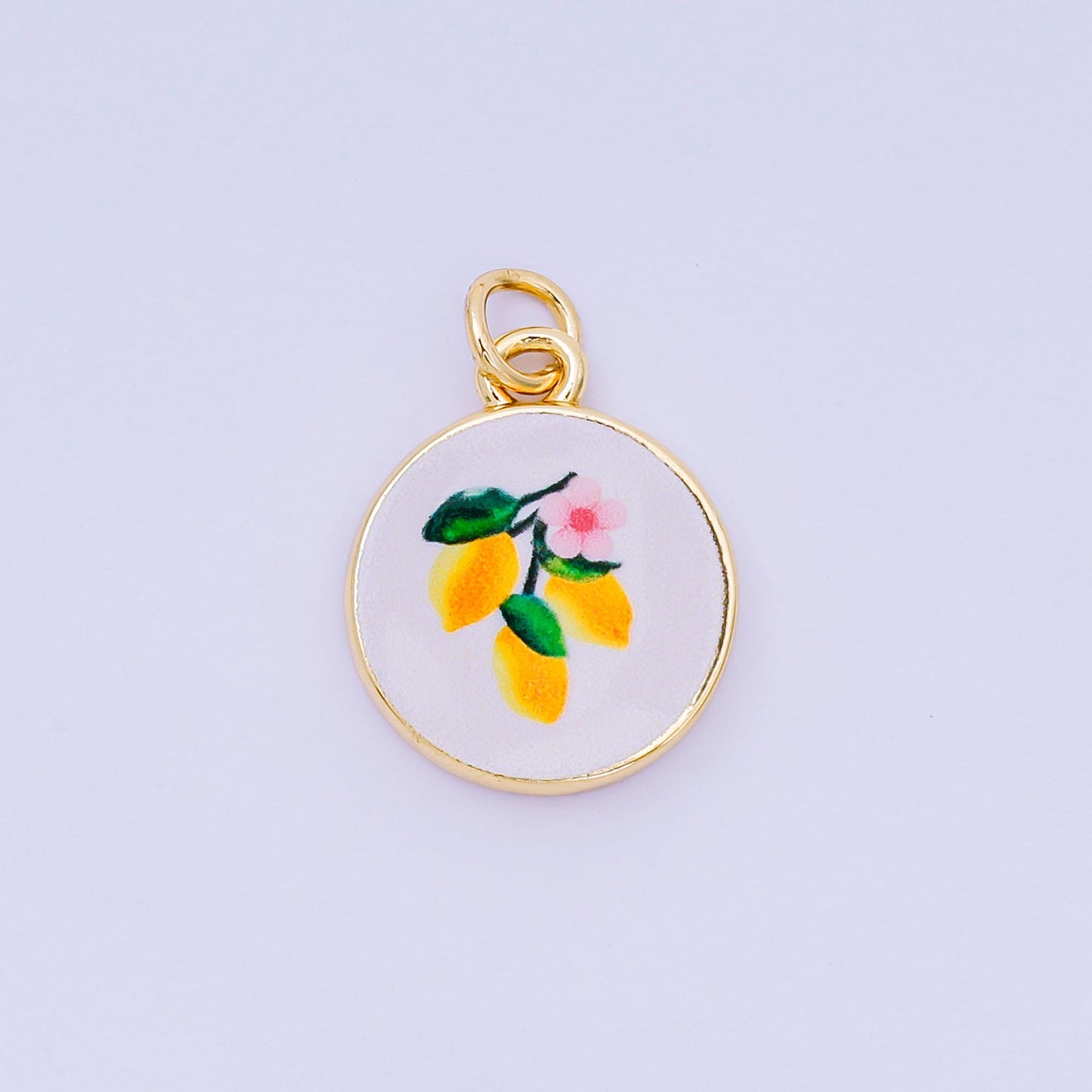 Double Sided Gold Filled Enamel Charms Hand Painted Round Pendant Charms with Hearts, Crab, Shell, Palm Tree, Bow & Fruit Design AJ-515