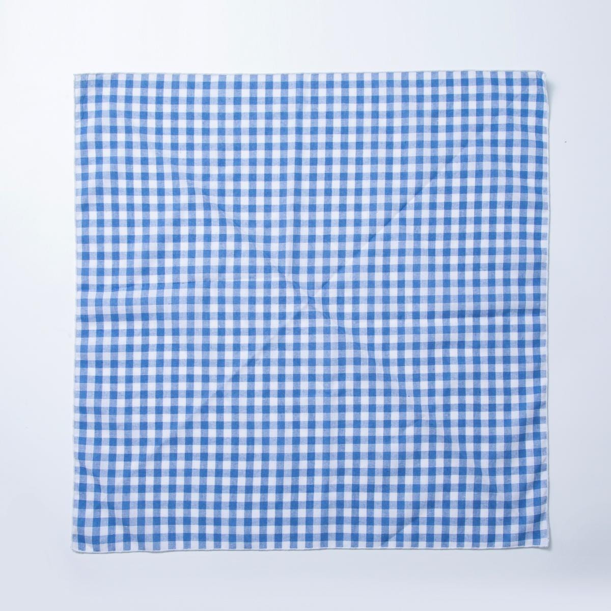 Bandana Scarf Headband Face Covering Gingham Checker Western Cowboy Inspired
