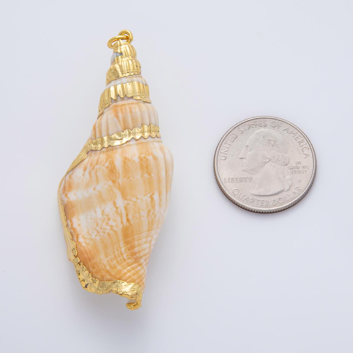67mm Shell Pearl Sea Conch Shell Charm | AF1405