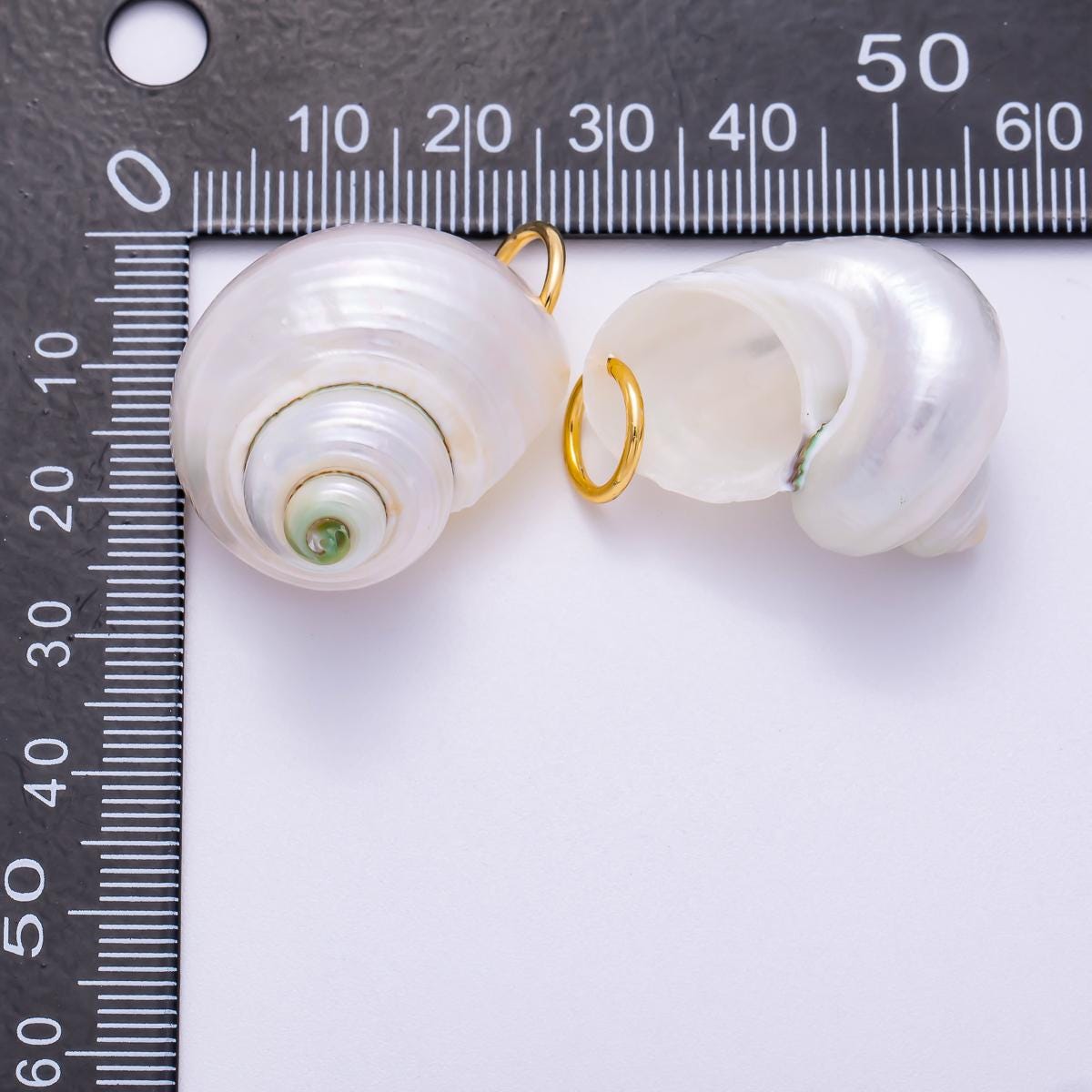 SUMMER 18K Gold Filled 31mm Freshwater Pearl Nautical Conch Sea Shell Charm Beach Jewelry for DIY Necklace Bracelet Gift | Charms-00554
