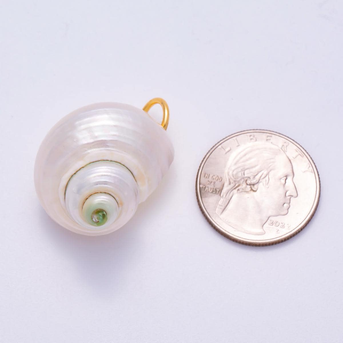 SUMMER 18K Gold Filled 31mm Freshwater Pearl Nautical Conch Sea Shell Charm Beach Jewelry for DIY Necklace Bracelet Gift | Charms-00554
