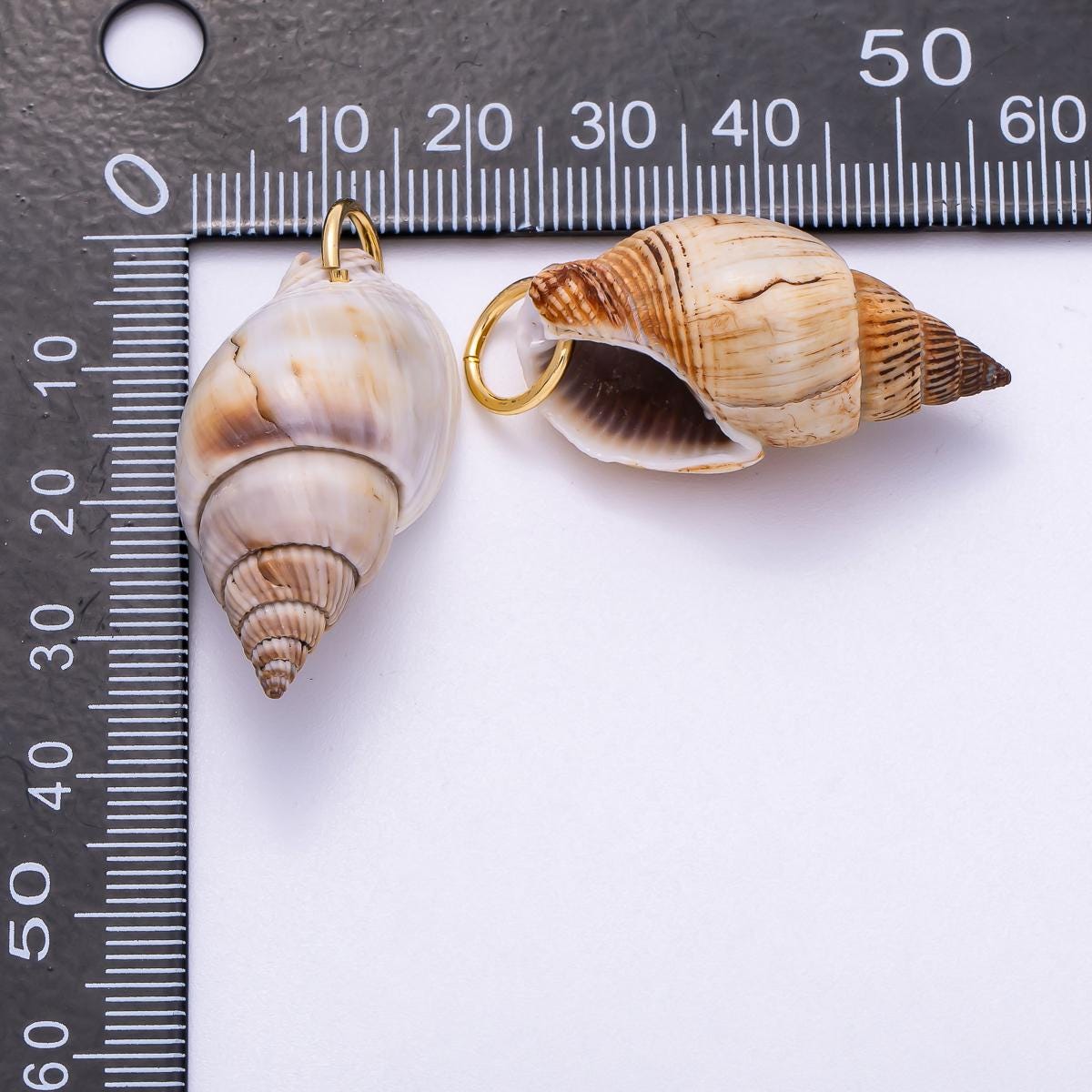 18K Gold Filled 34mm Natural Conch Sea Shell Charm Summer Jewelry Pendant DIY Supply for Custom Necklace and Bracelet | CHARMS-00555