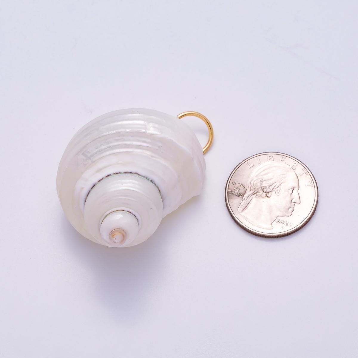 18K Gold Filled 48mm Freshwater Pearl Nautical Conch Sea Shell Charm Polished White Turban Nautical Sea Jewelry DIY Supply | Charms-00553