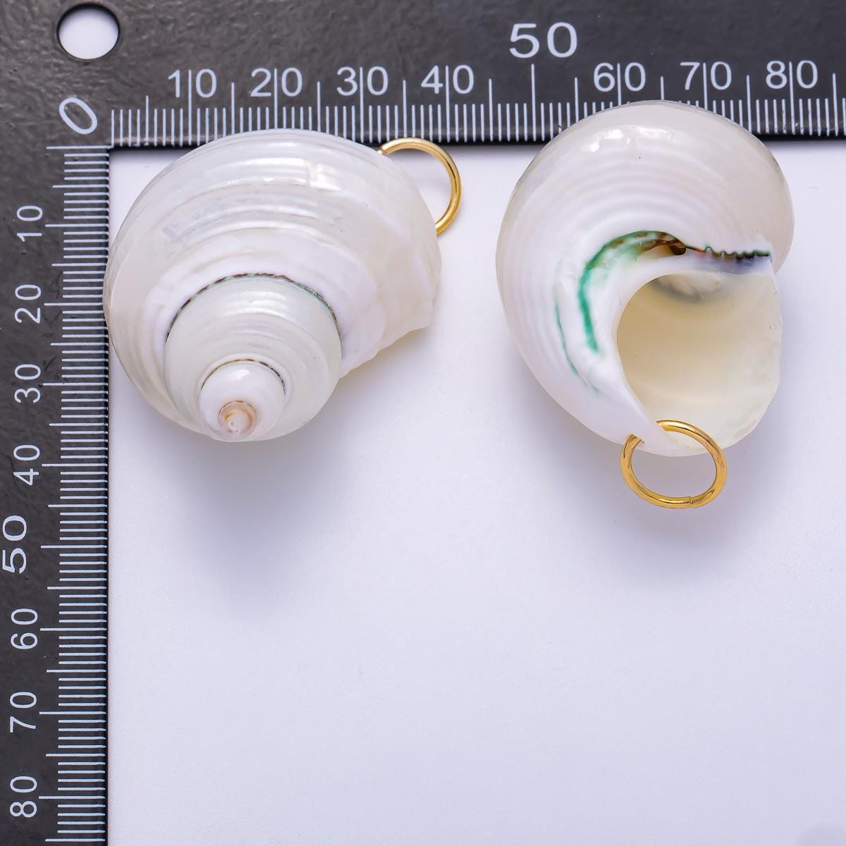 18K Gold Filled 48mm Freshwater Pearl Nautical Conch Sea Shell Charm Polished White Turban Nautical Sea Jewelry DIY Supply | Charms-00553