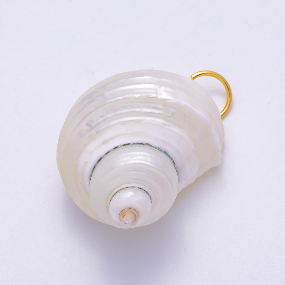 18K Gold Filled 48mm Freshwater Pearl Nautical Conch Sea Shell Charm Polished White Turban Nautical Sea Jewelry DIY Supply | Charms-00553