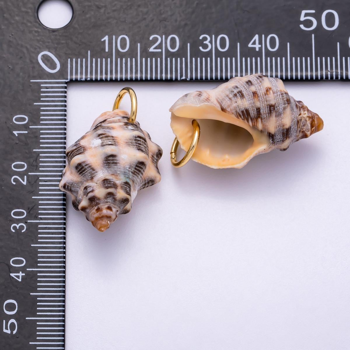 SUMMER 18K Gold Filled 31mm Natural Spotted Murex Conch Shell Charm Brown Spiral Seashell Jewelry Beach Wedding Accessory | Charms-00558